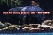 画像3: 【RED FARM】特選★Dark Red Galaxy Fishbone★🉐 20p即戦力set★