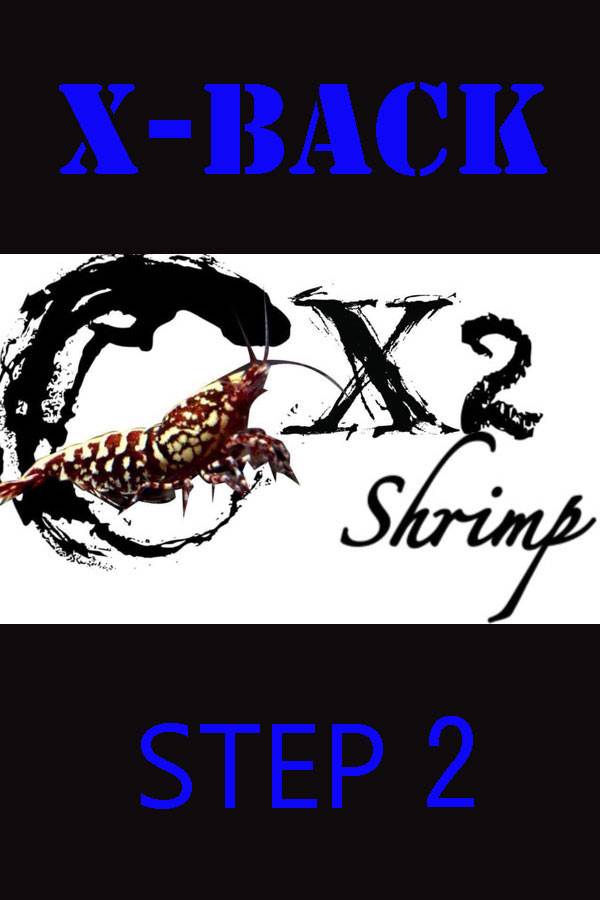 画像2: X-ＢＡＣＫ STEP２　(1個入り)